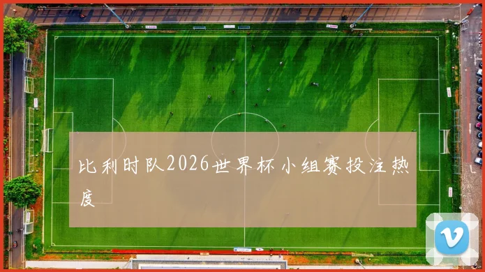 比利时队2026世界杯小组赛投注热度
