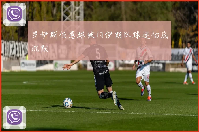 罗伊斯任意球破门伊朗队球迷彻底沉默